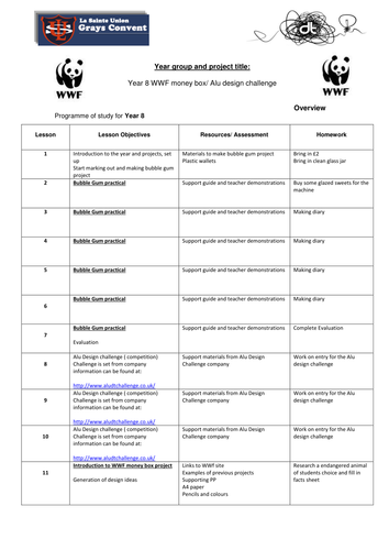 WWF money box project- year 8