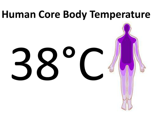 Temperature Scale Cardsort / Display