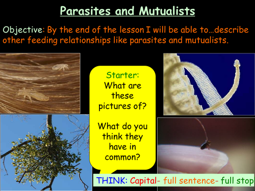 Edexcel B1.29 Parasites and mutualists