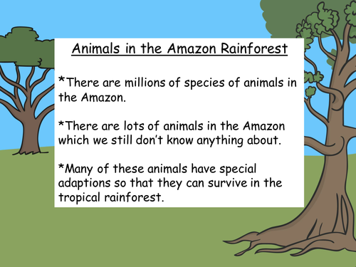 Animals In The Amazon Rainforest Teaching Resources