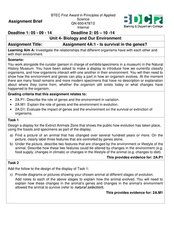 Edexcel BTEC Level 1/L2 Unit 4 Assignment Brief