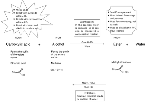 Ester Revision Sheet