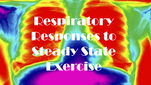 Respiratory Systems Response to Steady State