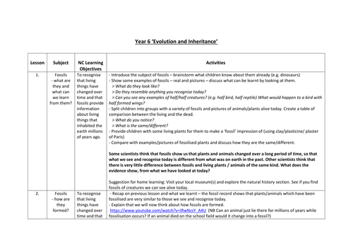 Year 6 Evolution and Inheritance lesson plans