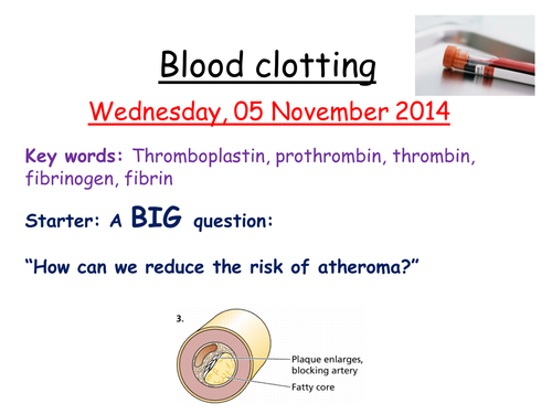 Blood clotting cascade