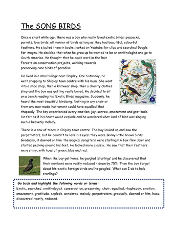 The Singing Starlings