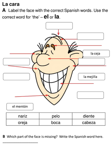 basic body parts in spanish