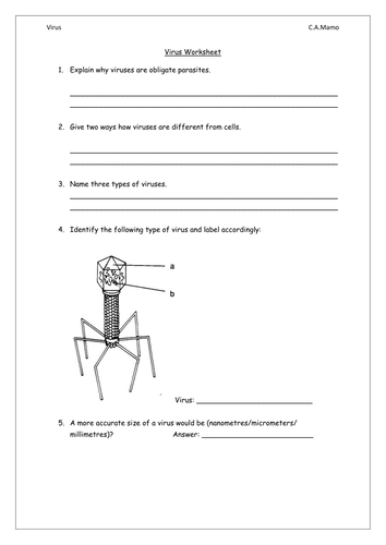 virus worksheet teaching resources