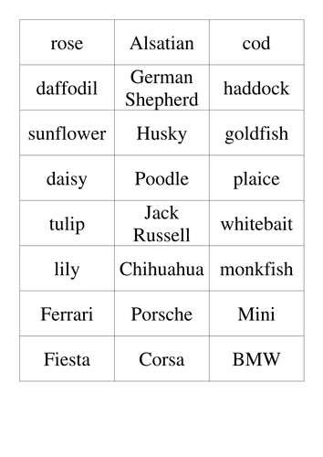 Specific nouns sorting activity