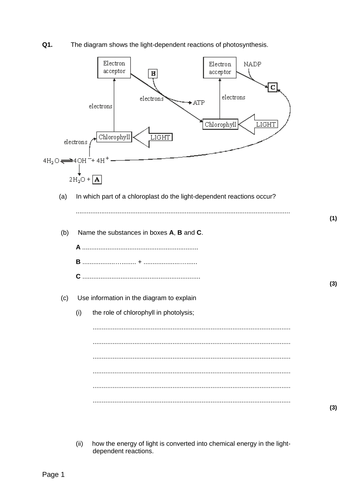 AQA 3.2 The light-dependent reaction