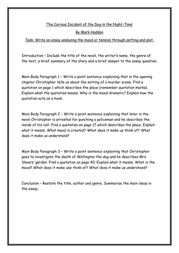 Christopher boone essay 05 image