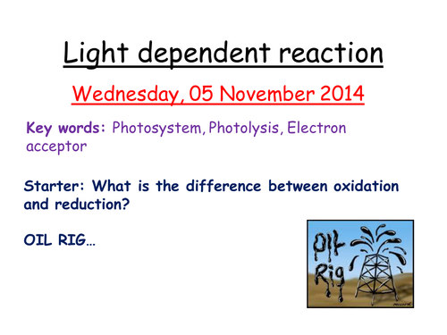 Light dependent reaction