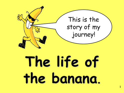 The life of a banana