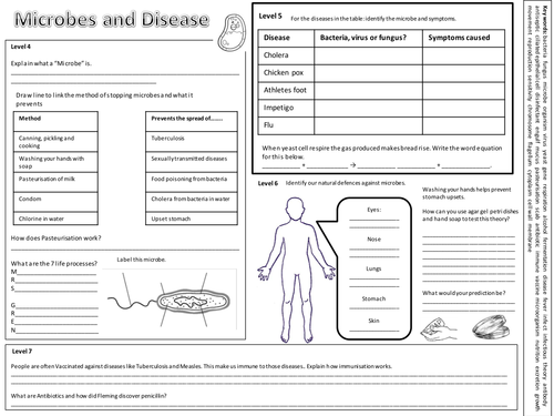 science unit 8c microbes revision exercise teaching