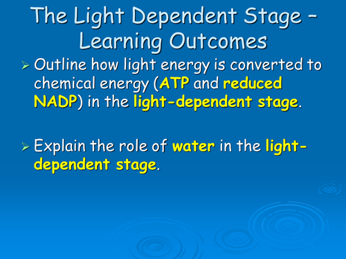 F214 - Light Dependent stage of photosynthesis