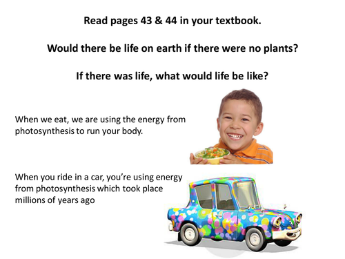 Photosynthesis and Test for Starch