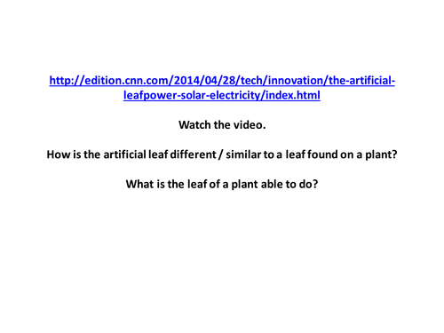 Leaf and adaptation for photosynthesis