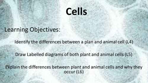 Introduction to KS3 cells