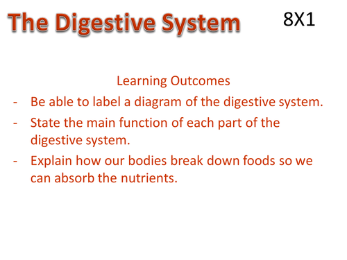 Science Works 2 Digestion
