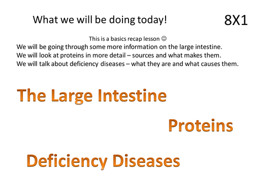Science Works 2 Staying Alive revision