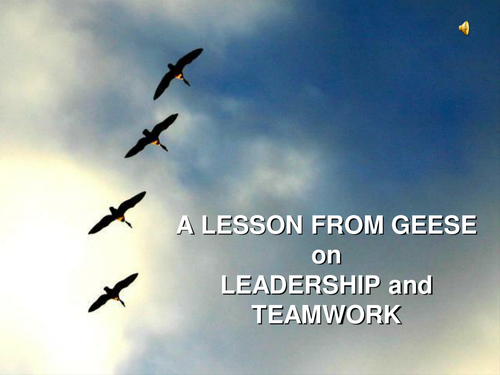Teamwork -  A Lesson from Geese