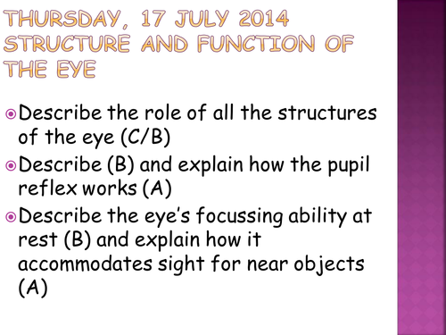 The Structure of the Eye and Eye Defects