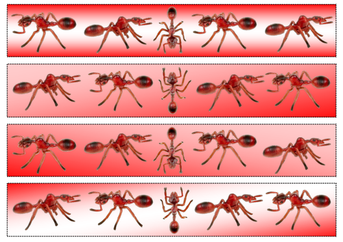 Red Ants Themed Cut-out Borders
