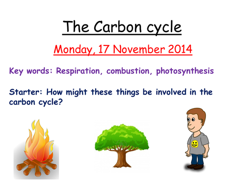 Carbon cycle