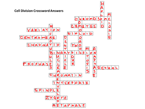 Cell Division Crossword Teaching Resources