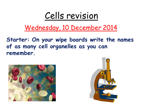 Cells revision