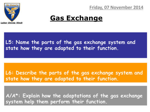Lesson following lung dissection