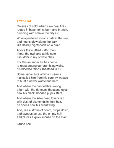 Town Owl  - PISA/NFER style worksheet &interactive