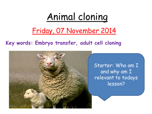 Animal cloning | Teaching Resources
