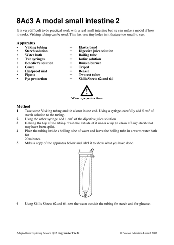 NEW Year 8 SoW B1 Diet and Digestion