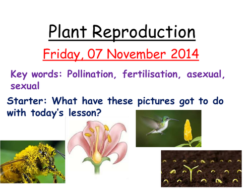 Plant Reproduction Teaching Resources