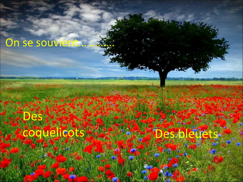Remembrance Day / L'Armistice