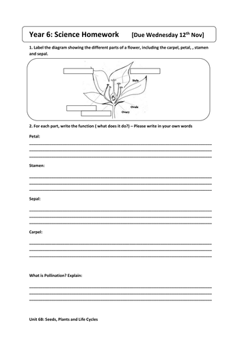 Label Parts of Plant Worksheet | Teaching Resources