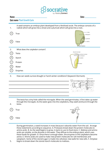 Quiz on Plant growth (originally on Socrative) | Teaching Resources