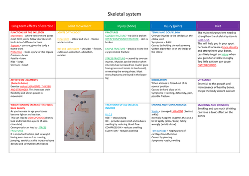 Edexcel pe coursework image