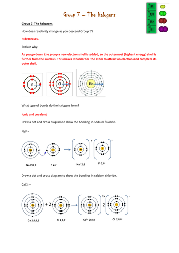 Halogens - Group 7 Reactions and reactivity