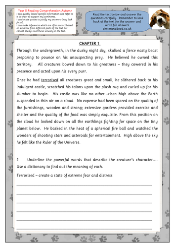 Year 5 Reading Prehension Worksheet