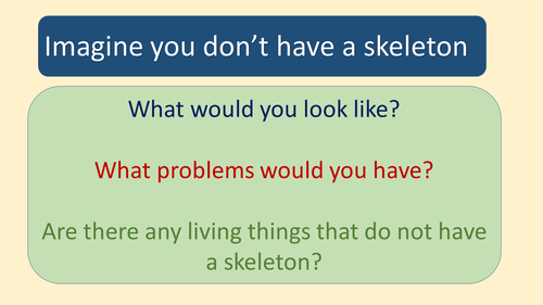 The Skeleton | Teaching Resources