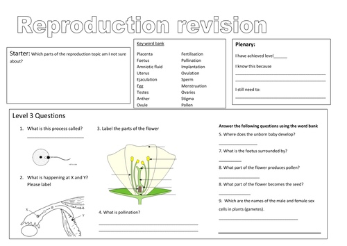 Revision lesson for reproduction