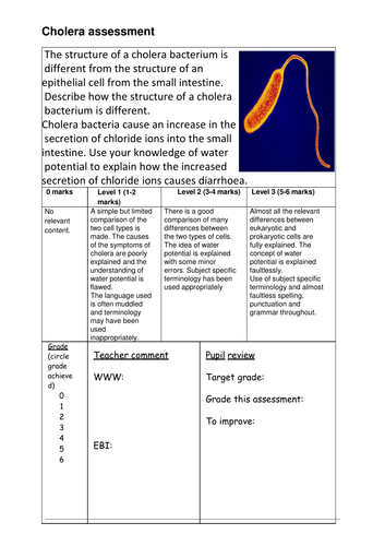 Cholera assessment