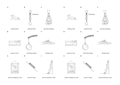 Naming and Labelling forces | Teaching Resources