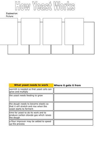 Yeast And How It Works Worksheet Answer Key