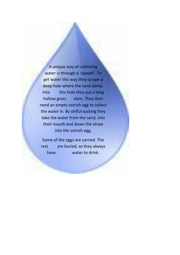 Life in the Kalahari