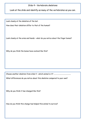 Skeletons, movement and variation