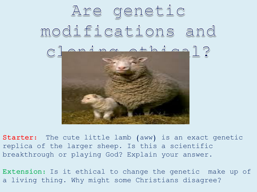Animal Rights - Lesson 4 - Should we genetically modify animals?
