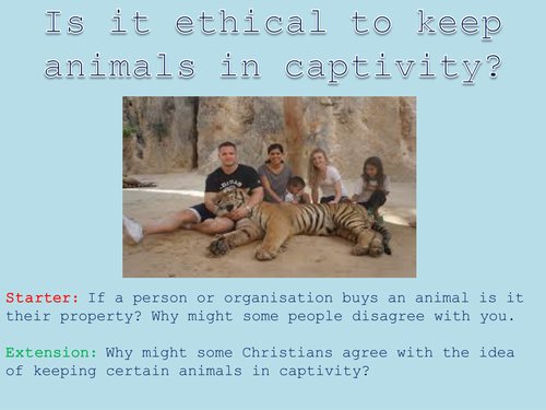 Animal Rights - Lesson 6 - Are zoos ethical? | Teaching Resources